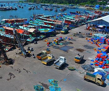 fishing harbour image